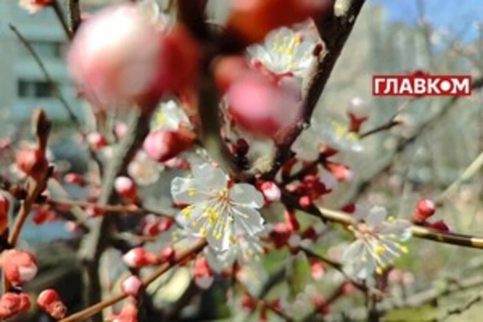 Na Ukrainie pochmurno z przejaśnieniami: prognoza pogody na 26 maja
