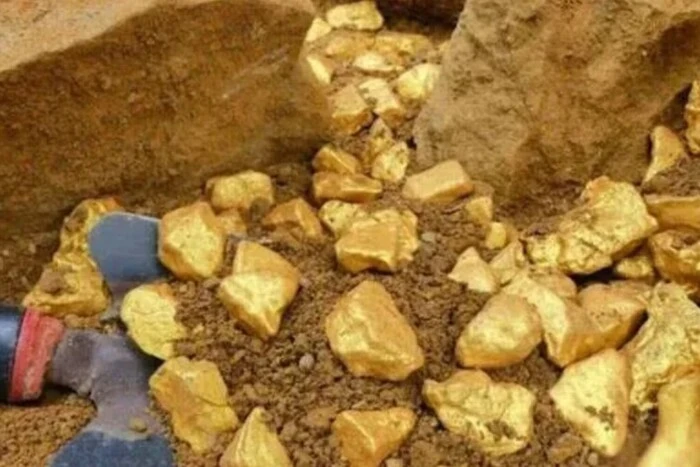 Ein französischer Bauer fand 150 Tonnen Gold auf seinem Grundstück