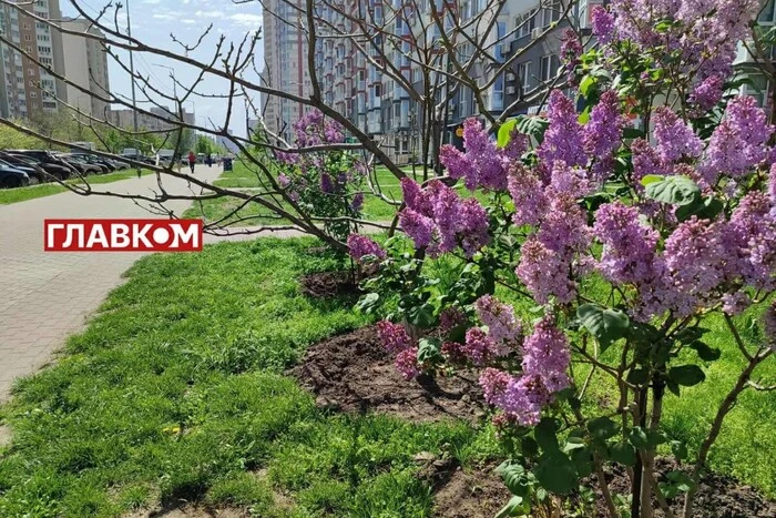 Weather forecast for May 8
