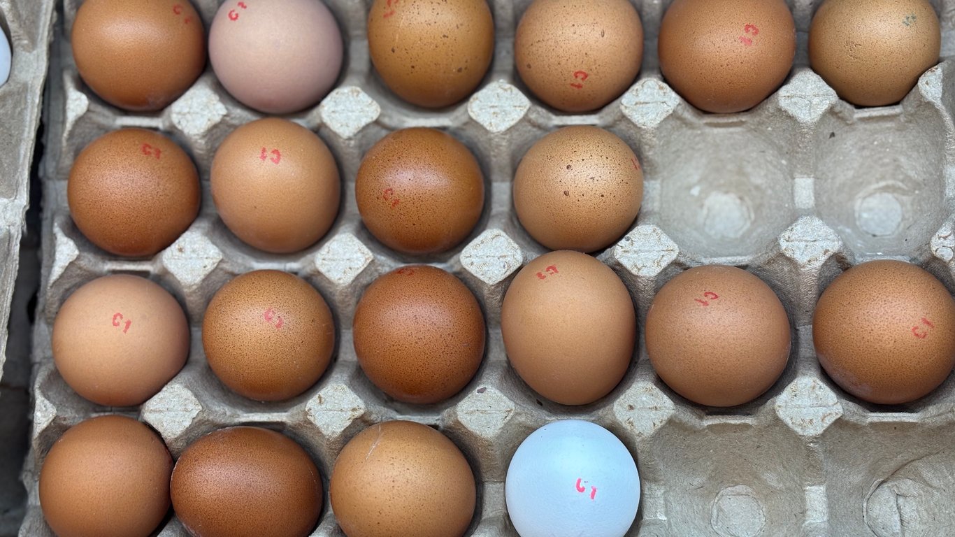 Ukrainians can access budget eggs - where to save significantly