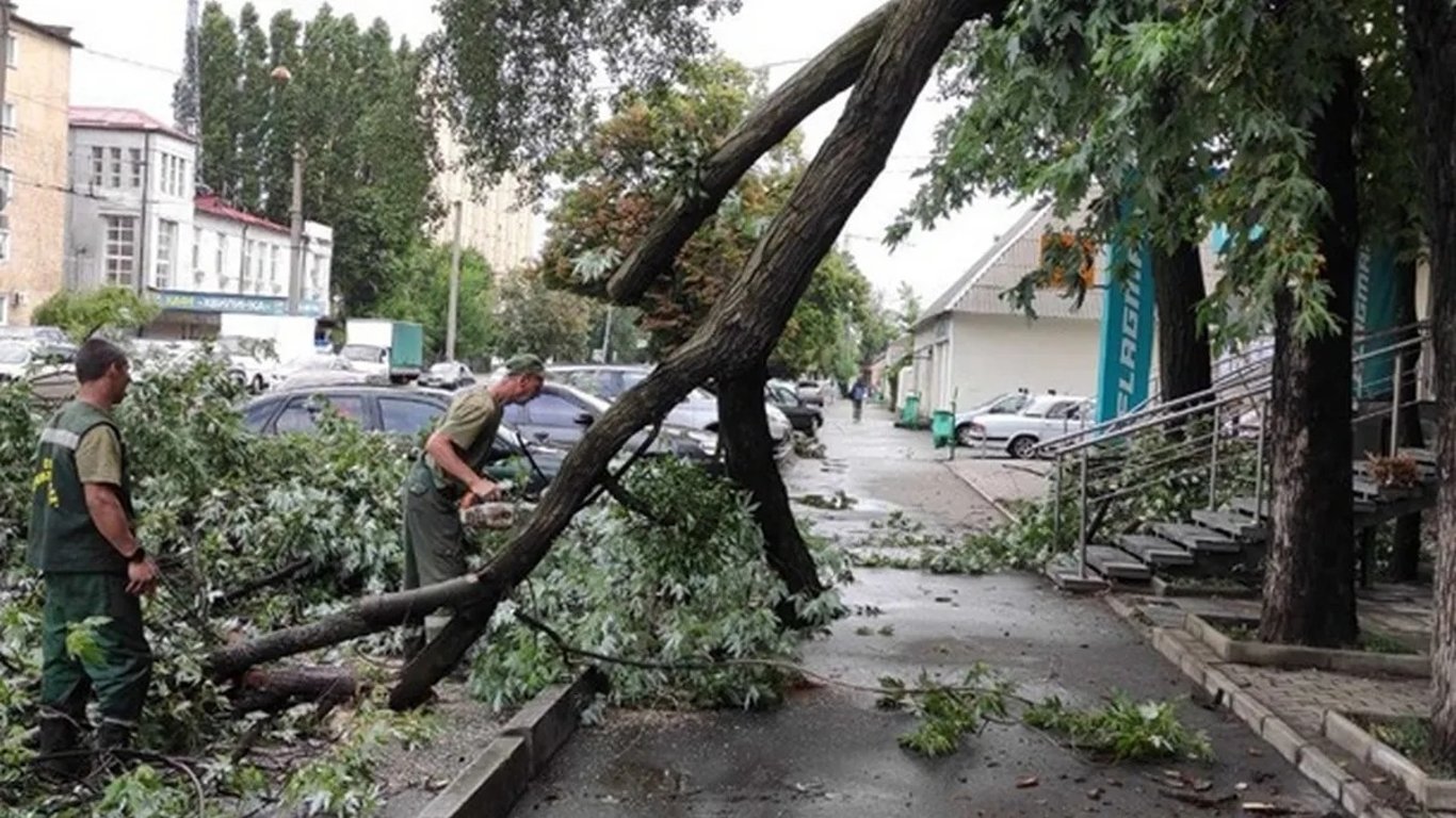 Severe Weather Hits Kharkiv - A Tree Fell on a Child