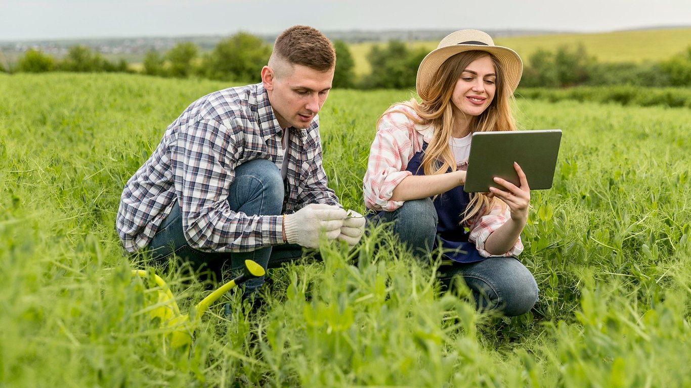 Продаж земельної ділянки — які витрати треба врахувати