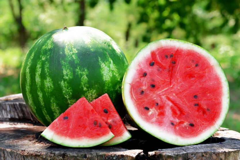 In der Ukraine hat die Melonensaison begonnen: Was ist mit den Preisen los?