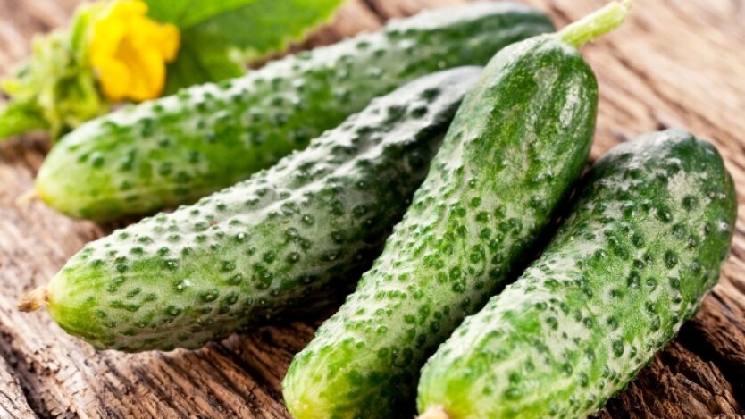 Preissturz bei Gurken in der Ukraine um 42%: Was erwartet den Markt als Nächstes
